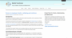 Desktop Screenshot of beliefinstitute.com